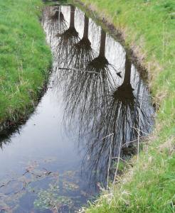 Pat 06 - Mooi avondlicht